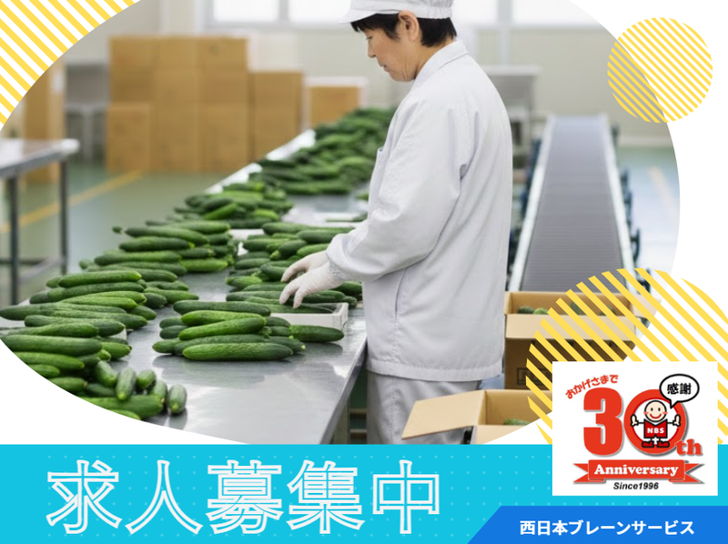 西日本ブレーンサービス