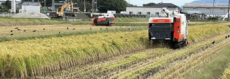 株式会社西濃パイロット　ライスセンターのアルバイト・バイト求人情報-02