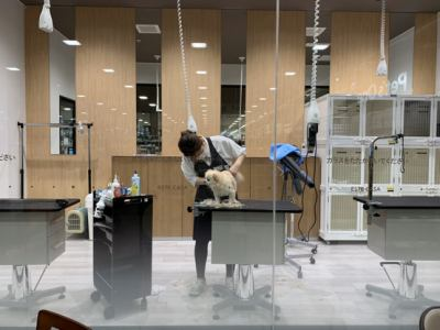 Pet's One 富士宮小泉店のアルバイト・バイト求人情報-05