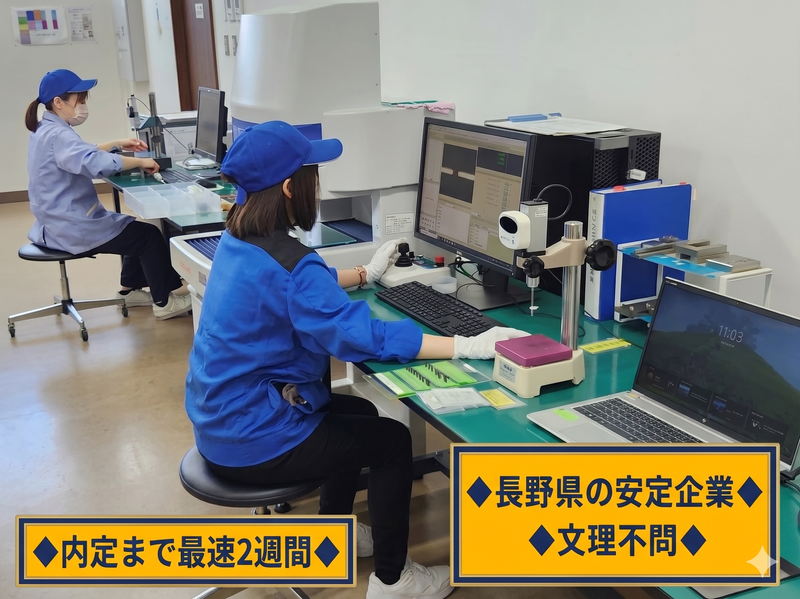 株式会社南信精機製作所