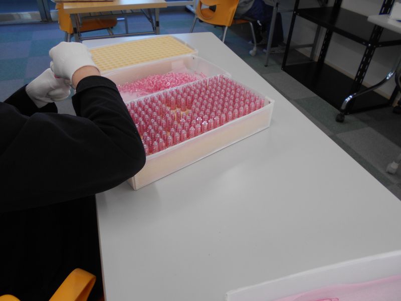 株式会社湘南ケアステージの求人・転職情報