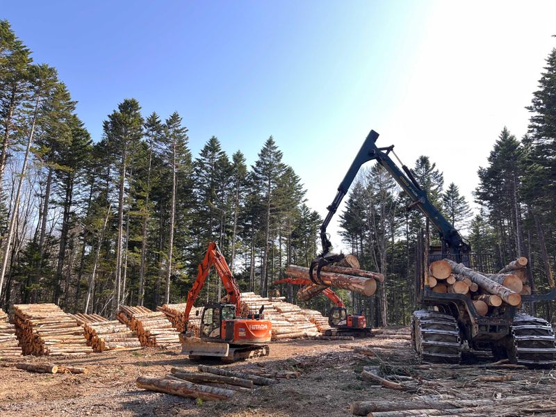 佐藤林業株式会社の求人・転職情報