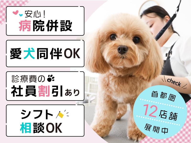 トリミングサロンブルーム足立のアルバイト・バイト求人情報-19