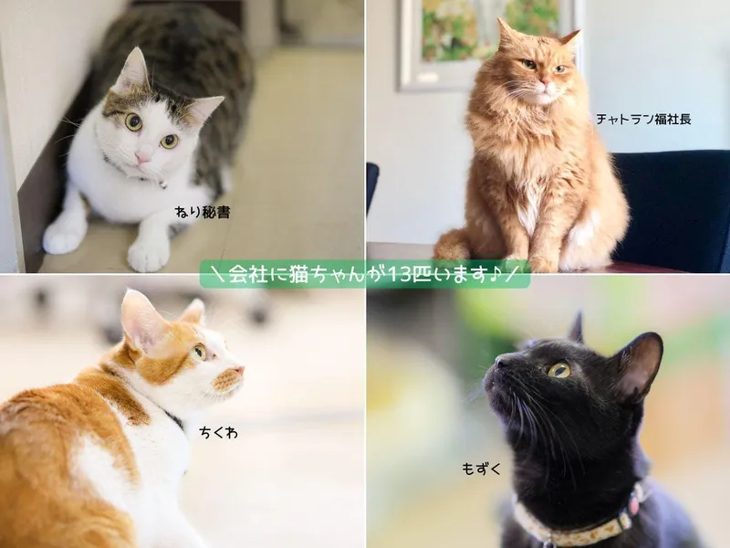 三協精器工業株式会社の求人・転職情報