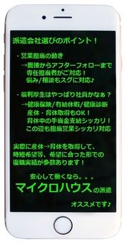 株式会社マイクロスタッフィングサービスの求人4