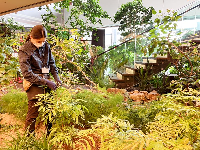 木下緑化建設株式会社の求人・転職情報