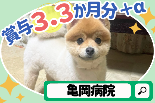 医療法人亀岡病院　亀岡病院の求人・転職情報