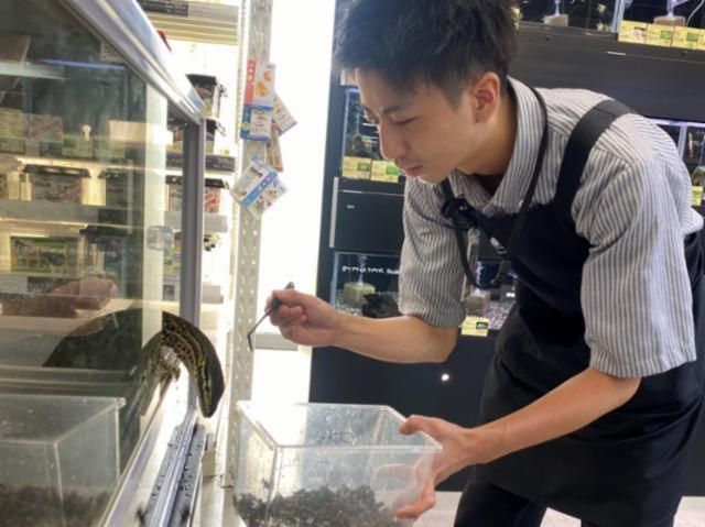 ペットショップNICOPETさいたま新都心店 　アークランズ株式会社のアルバイト・バイト求人情報-03