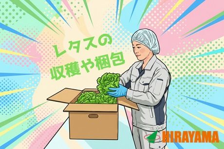 株式会社平山 福井営業所の求人・転職情報