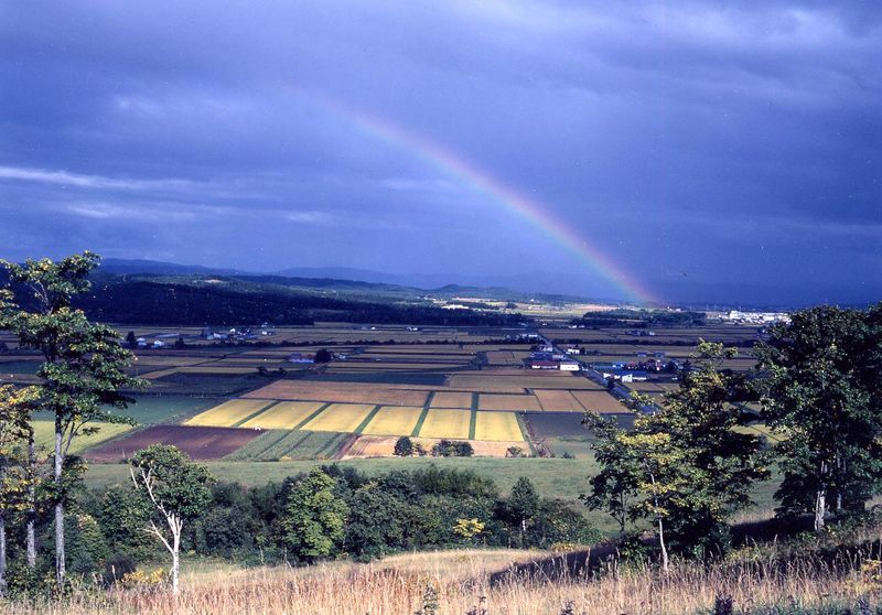 沼田町の求人・転職情報