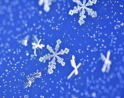 ビーグッド株式会社のアルバイト・バイト求人情報-05