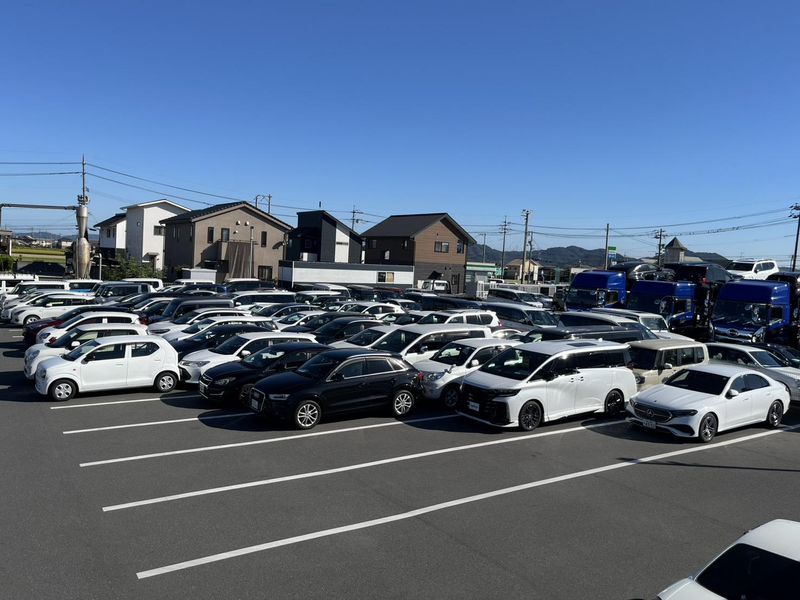 株式会社エムズキャリーの求人・転職情報