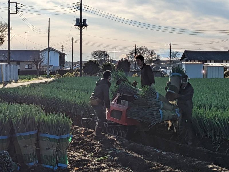 とちのきファーム作業所の求人情報