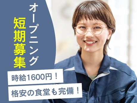 ライクスタッフィング株式会社