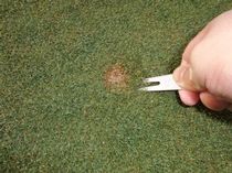 新日本観光株式会社の求人・転職情報