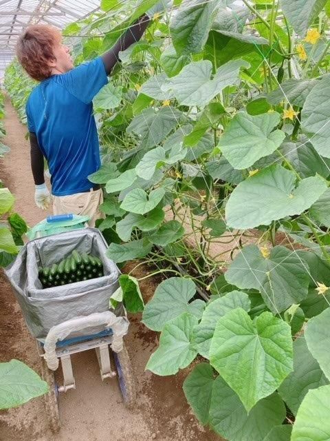 邑楽館林農業協同組合のアルバイト・バイト求人情報-02