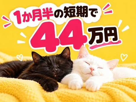 株式会社ワールドスタッフィングHS事業部のアルバイト・バイト求人情報