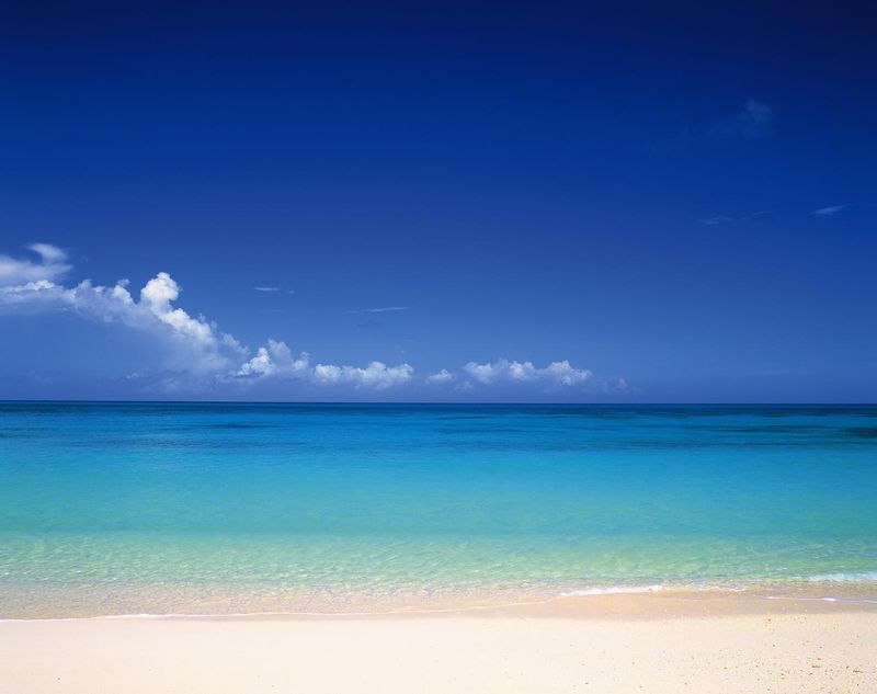 博多湾環境整備株式会社の求人・転職情報