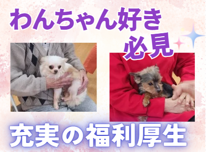 有限会社ライフエール　サービス付き高齢者向け住宅悠縁の求人・転職情報