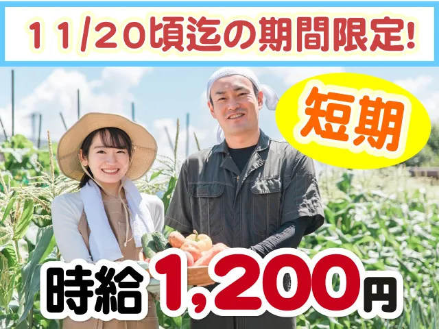 株式会社ピース　ピーススタッフのアルバイト・バイト求人情報