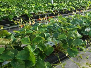 JA静岡市　無料職業紹介所の求人・転職情報