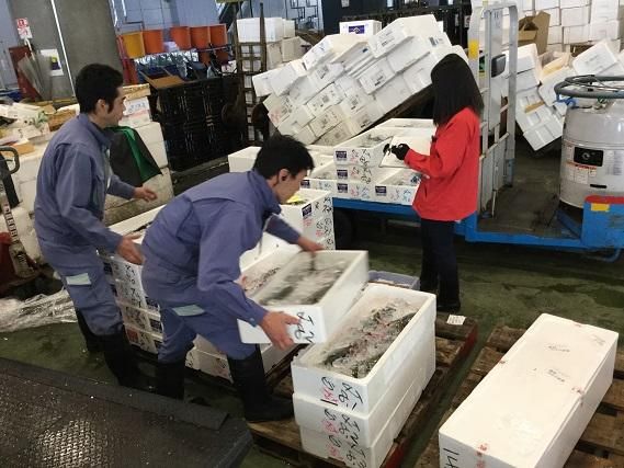 河市水産㈱の求人・転職情報