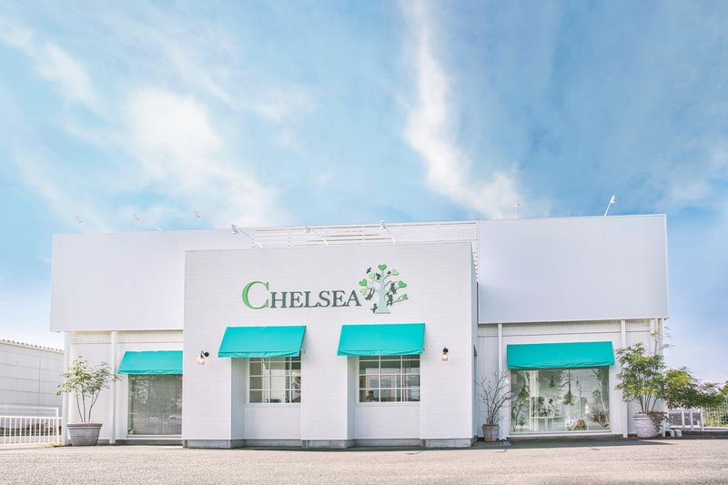 フォトスタジオチェルシー　大垣店(株式会社ダブル・エディション)のアルバイト・バイト求人情報-02