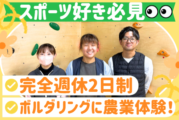 株式会社AONAMI　COLORSの求人・転職情報