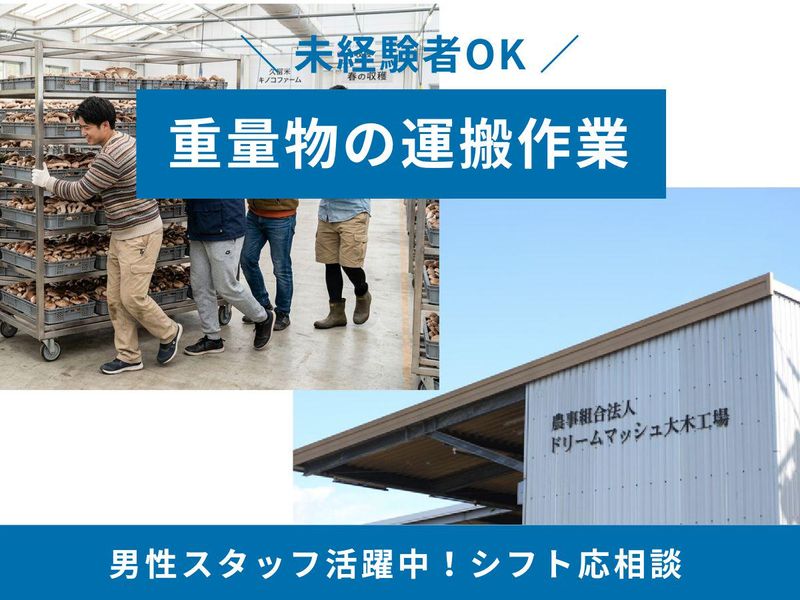 株式会社　ドリームマッシュの求人・転職情報