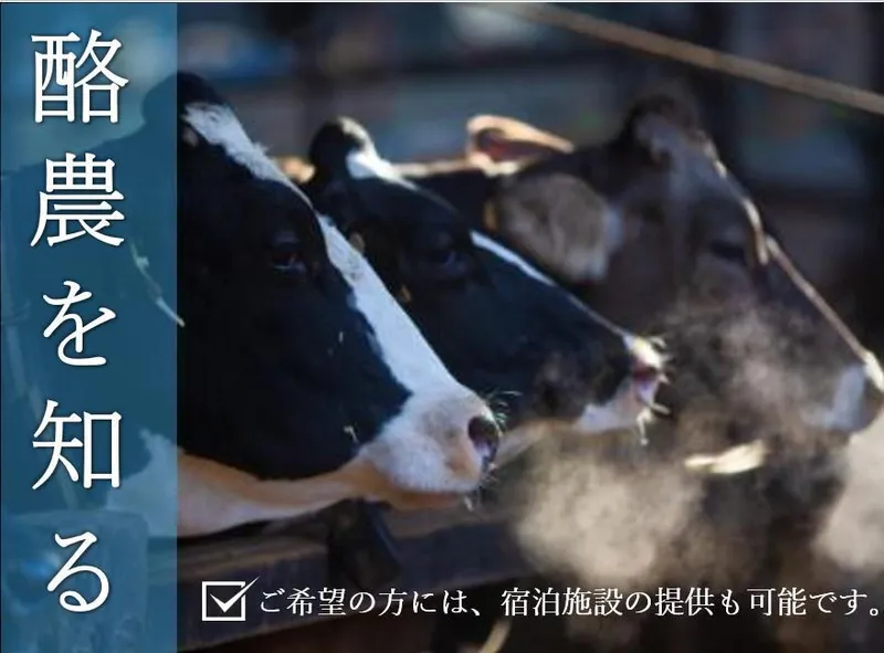 【香川開催】牛の命を預かる飼育管理・酪農実習インターンシップ