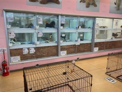 ペットアミ西条店のアルバイト・バイト求人情報-05