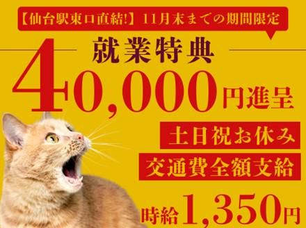 アルティウスリンク株式会社の求人・転職情報
