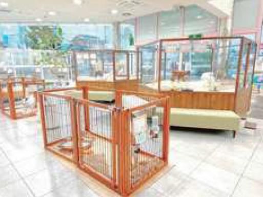 ハルズコーポレーション株式会社　ペットショップWAN　岡山店のアルバイト・バイト求人情報-02