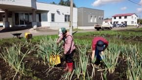 社会福祉法人札幌協働福祉会の求人・転職情報