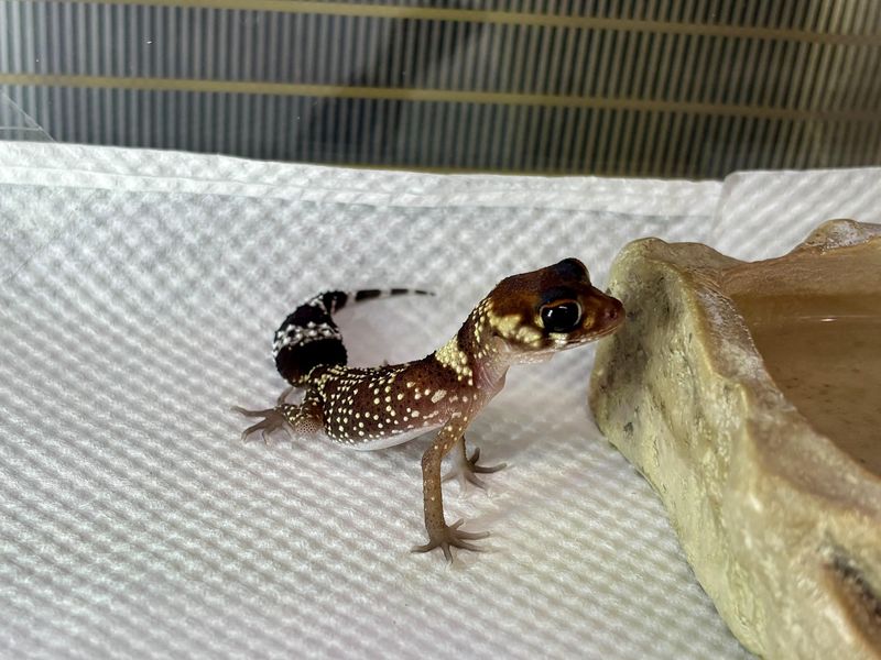 手取フィッシュランド　福井店のアルバイト・バイト求人情報-02