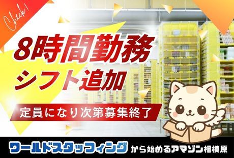 株式会社ワールドスタッフィング