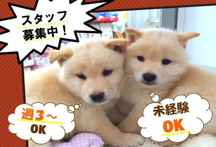 ペットランド永山店のアルバイト・バイト求人情報-09