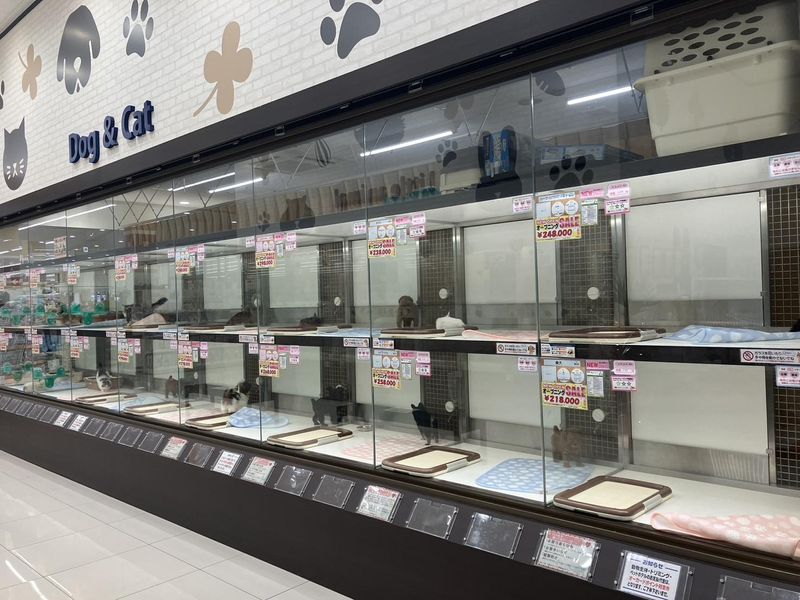 ペットショップスワンAペットサウス亀山店のアルバイト・バイト求人情報-03