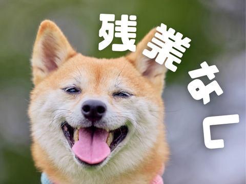 株式会社ホットスタッフ東広島(577)のアルバイト・バイト求人情報-05