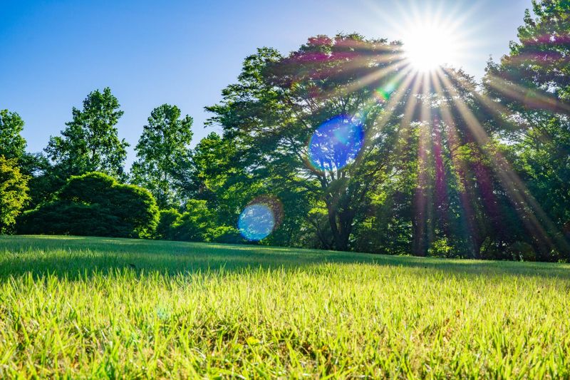 株式会社ヘレナ・インターナショナルの求人・転職情報