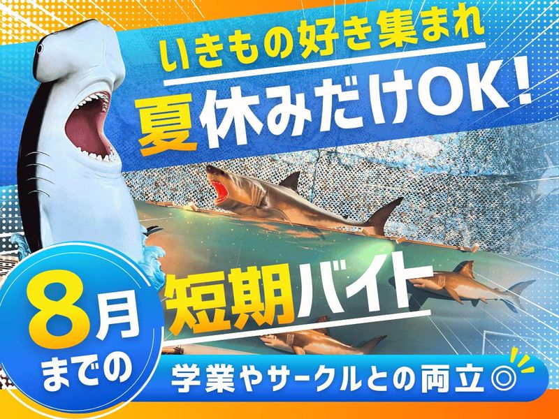 釣って見つけるぼうけんの国 沖縄のアルバイト・バイト求人情報-01