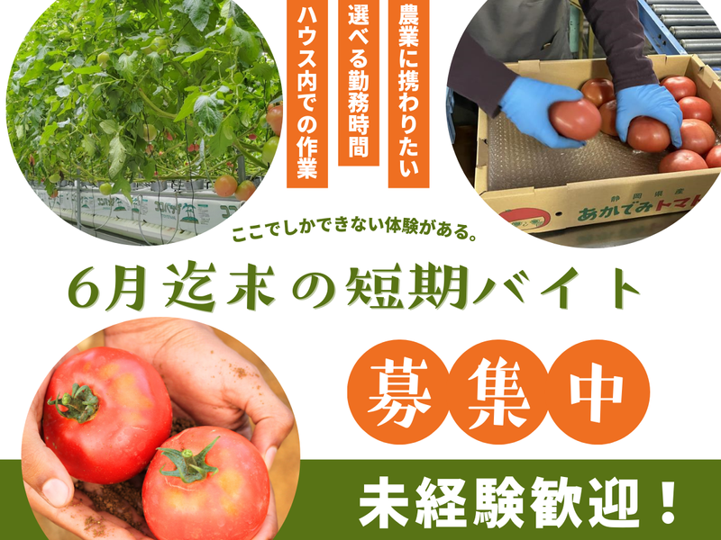 ベルファーム株式会社のアルバイト・バイト求人情報-02