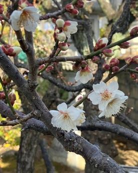 ダスキン　今在家トータルグリーンのアルバイト・バイト求人情報-01