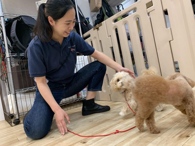 有限会社ディーエルピー