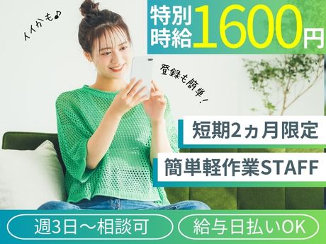 ライクスタッフィング株式会社のアルバイト・バイト求人情報-02