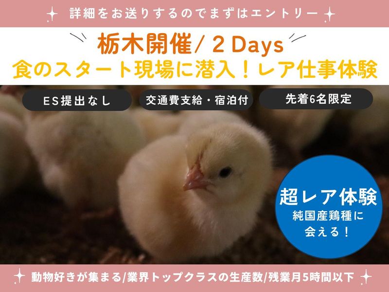 株式会社イシイ