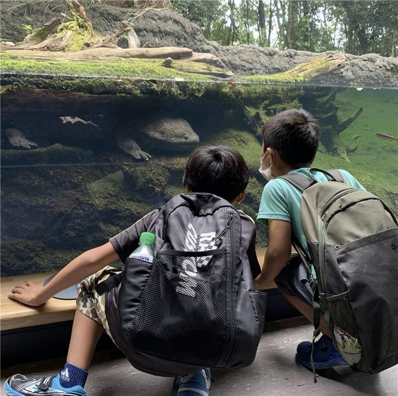 ピーナッツ八幡教室の派遣求人情報