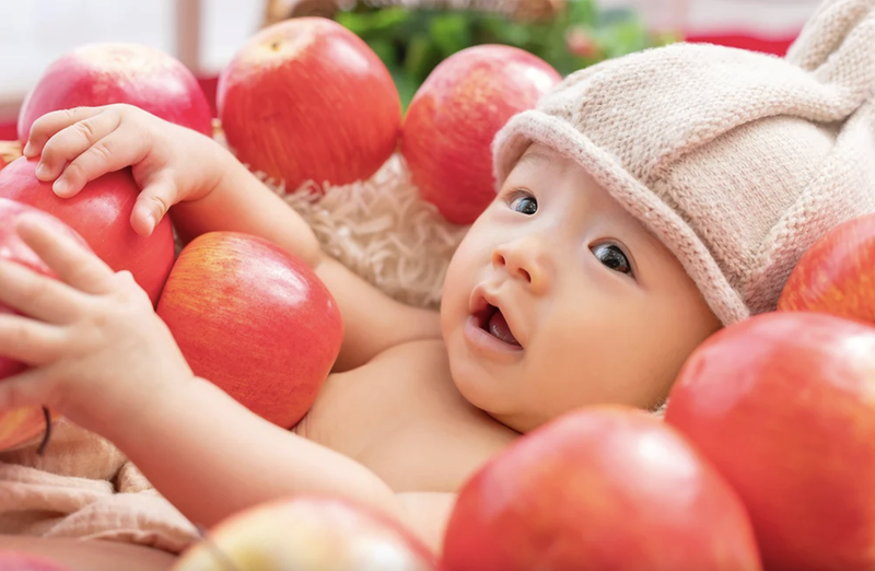 有限会社　三景スタジオの求人・転職情報