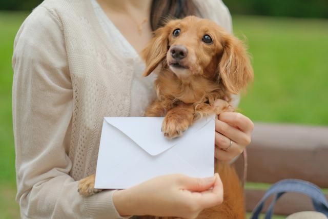 株式会社ビーワークス