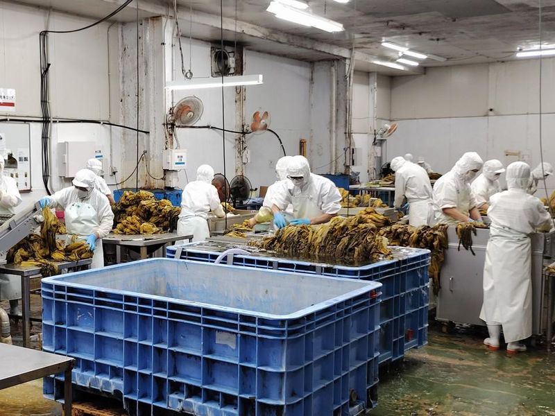 株式会社オニマルの求人・転職情報-03